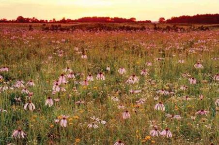Integrated Prairie Farming Systems Image